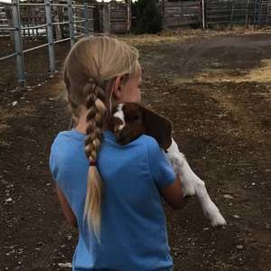 Meet your Posher, Brittany